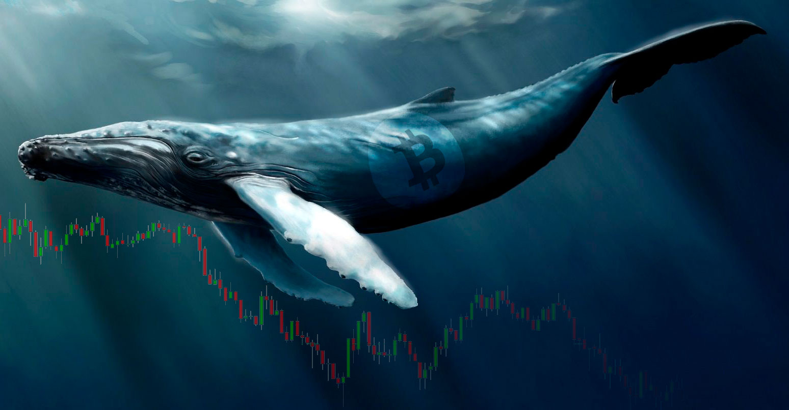 Прогноз курса биткоина 2018 от известных аналитиков. На рынок скоро придут киты с Уолл-стрит
